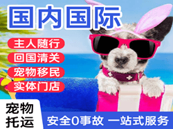 云冈空运国际宠物托运 【国